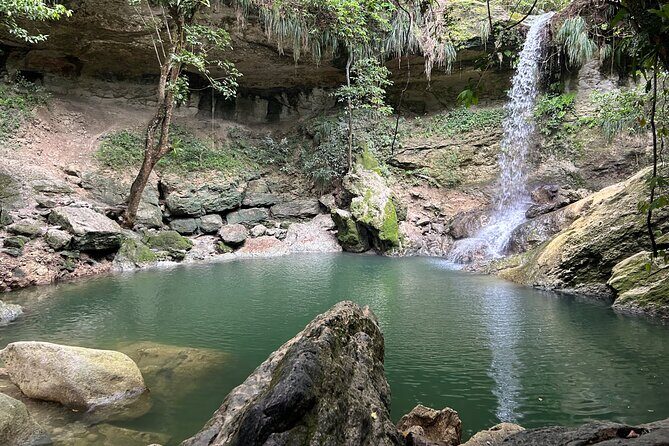 Tropical Rainforest Luxury Experiences - Detailed Breakdown of the Itinerary