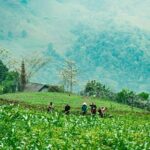 True North Ha Giang Loop Motorbike Tour 4 Days of Adventures - What’s Included and What’s Not?