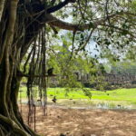 Trusty Tuk Tuk - The Experience in Detail