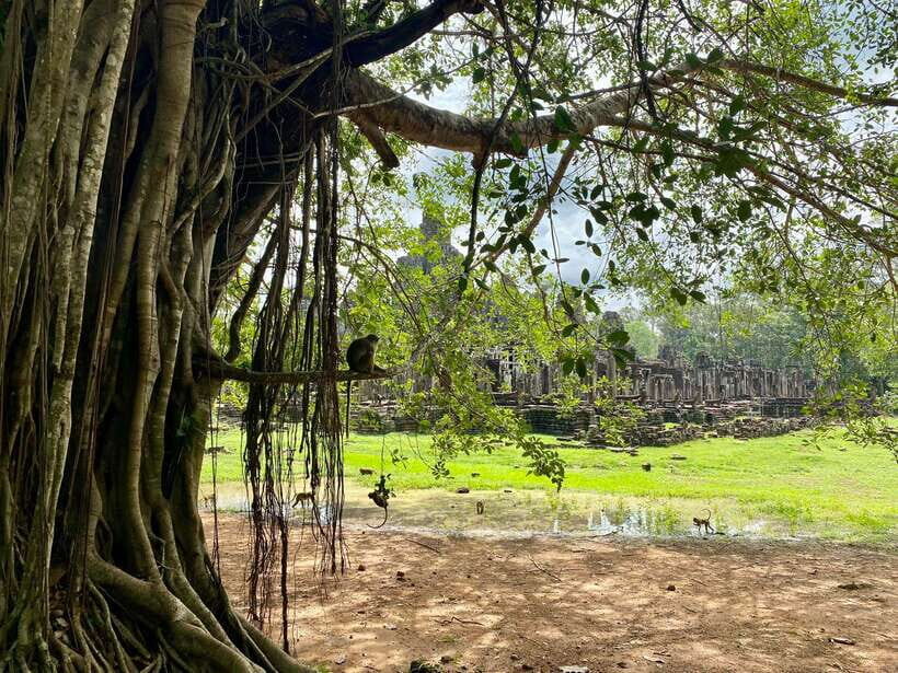 Trusty Tuk Tuk - The Experience in Detail