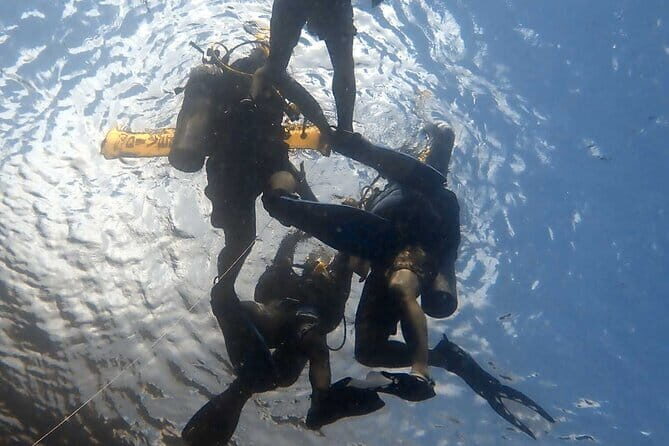 TRY SCUBA (SSI Basic Diver) Your First Dive Experience in Bali - Why This Tour Works Well