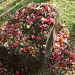 Tsunami Museum and Affected Areas Tour of Banda Aceh - Frequently Asked Questions