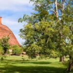 Tuk Tuk Day tour Anuradhapura Ancient City - Authentic Insights from Tour Reviewers