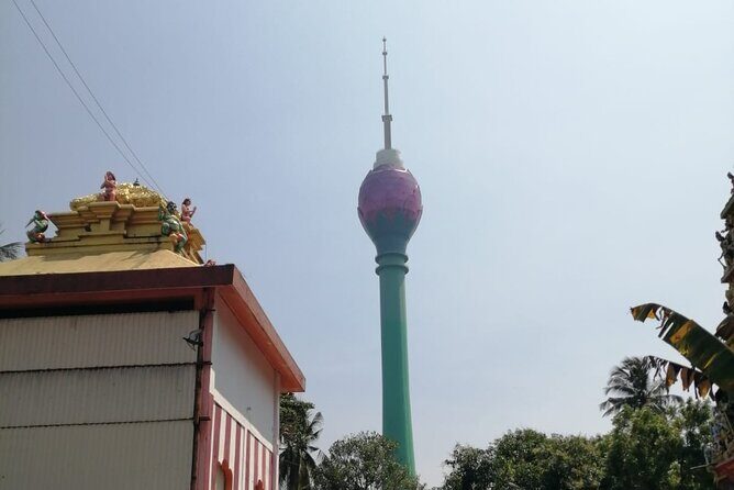 Tuk Tuk Safari Colombo Sri Lanka - Who Should Consider This Tour?