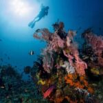 Tulamben: Underwater Paradise Scuba Diving Experience - The Itinerary in Detail