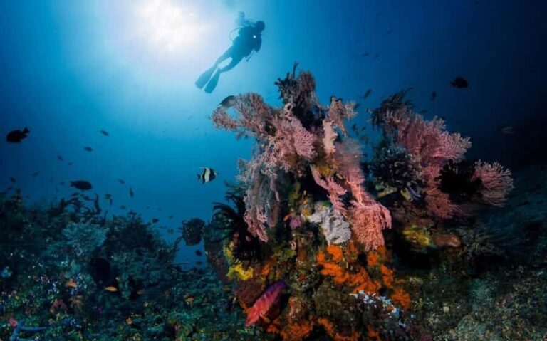 Tulamben: Underwater Paradise Scuba Diving Experience - The Itinerary in Detail
