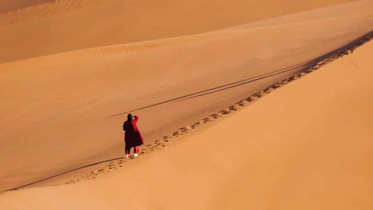 Turpan: Xuanzang Silk Road with Kumtag Desert Private Tour - An In-Depth Look at the Tour