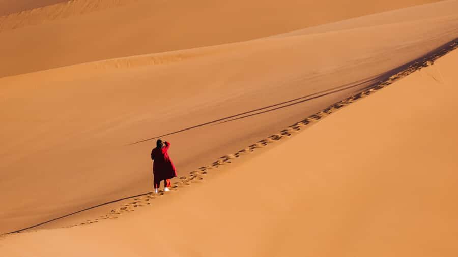 Turpan: Xuanzang Silk Road with Kumtag Desert Private Tour - An In-Depth Look at the Tour