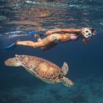 Turtle Snorkeling Aruba: Private Tour with Video - Why This Tour Stands Out