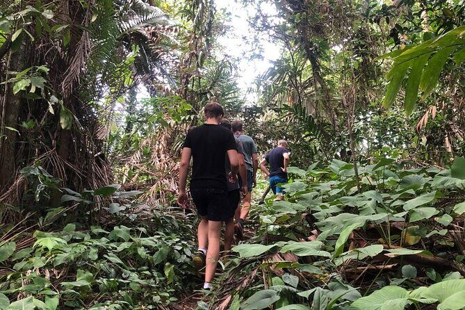 Turtle Tales of Pulau Banyak - The Sum Up: Who Is This Tour Best For?