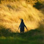 Twilight at the Opera - The Sum Up: Is Twilight at the OPERA Worth It?