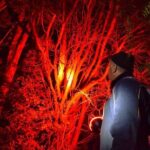 Twilight Wild Kiwi Bird Encounter Private Tour - An In-Depth Review of the Twilight Wild Kiwi Bird Encounter Tour