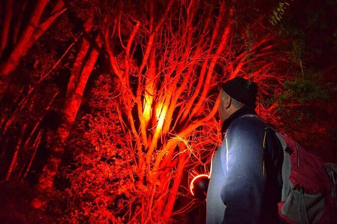 Twilight Wild Kiwi Bird Encounter Private Tour - An In-Depth Review of the Twilight Wild Kiwi Bird Encounter Tour