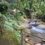 Twin Waterfalls Private Tour in Bali - What Travelers Can Expect