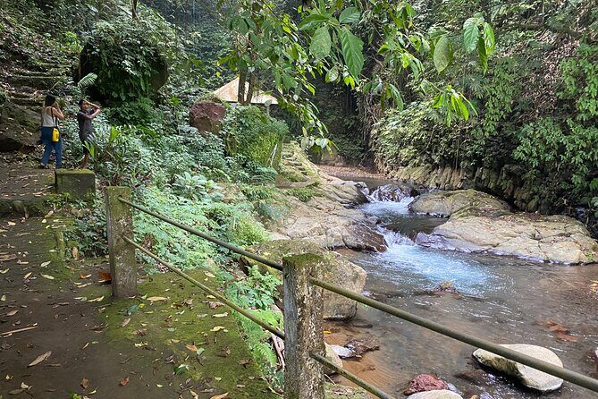 Twin Waterfalls Private Tour in Bali - What Travelers Can Expect