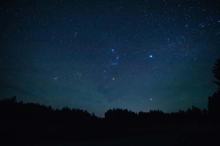 Twizel: Stargazing Tour with an Astronomer and Telescope - Why This Tour Appeals to Different Travelers