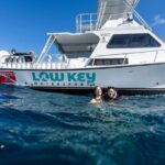 Two-Tank Morning Dive Trip for Certified Divers - The Itinerary: What To Expect