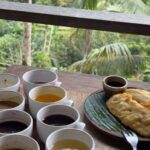 Ubud: ATV Quad Bike, Jungle Swing & Coffee Plantation - Final Thoughts: Is This Tour Right for You?