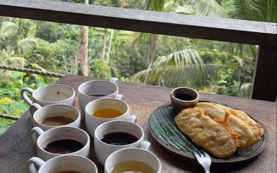 Ubud: ATV Quad Bike, Jungle Swing & Coffee Plantation - Final Thoughts: Is This Tour Right for You?