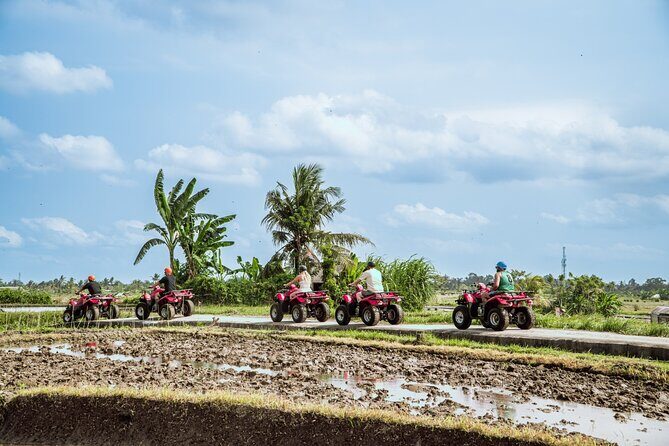 Ubud ATV Quad Bike with Infinity Pool Access All Inclusive - What’s Included and What to Keep in Mind
