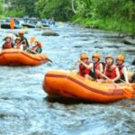 Ubud: Ayung River Rafting Adventure with Lunch and Transport - The Scenic and Cultural Highlights