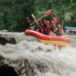 Ubud: Ayung River Rafting Adventure with Lunch and Transport - The Value of This Tour