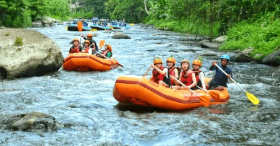 Ubud: Ayung River Rafting Adventure with Lunch and Transport - The Scenic and Cultural Highlights