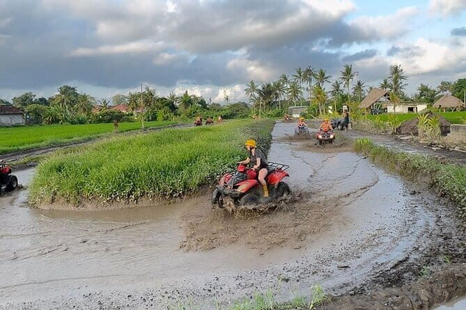 Ubud Bali ATV Quad Bike Adventure - Practical Details and Logistics