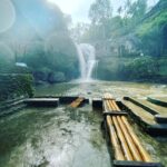 Ubud Bali: Half Day Tours - Practical Details to Keep in Mind