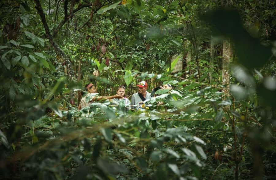 Ubud: Bali Pulina Tour with Swing & Tegallang Rice Terrace - Who Will Love This Tour?