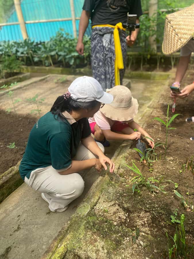 Ubud: Balinese Culture and Farming Experience with Lunch - What You Can Expect During the Tour