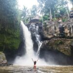 Ubud: Balinese Culture and Nature Private Full-day Tour - An In-Depth Look at the Ubud: Balinese Culture and Nature Private Tour