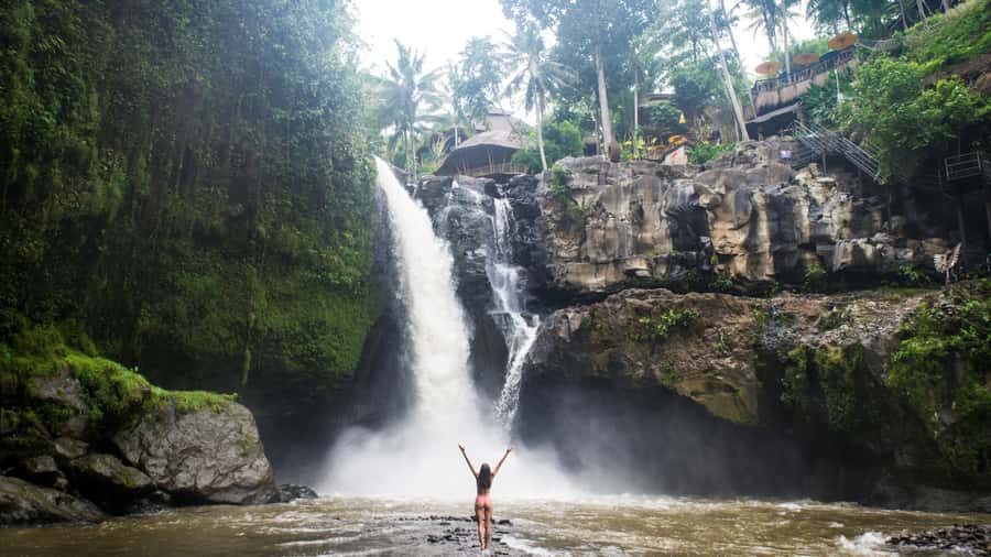 Ubud: Balinese Culture and Nature Private Full-day Tour - An In-Depth Look at the Ubud: Balinese Culture and Nature Private Tour