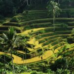 Ubud: Bali's 3 Epic Waterfall, Rice Terrace, and Temple Tour - Value & Practical Considerations