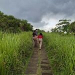 Ubud: Campuhan Ridge Walk, Tegallalang Rice Terrace & More - The Itinerary in Detail