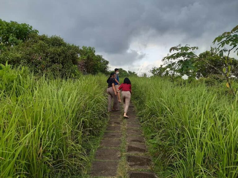 Ubud: Campuhan Ridge Walk, Tegallalang Rice Terrace & More - The Itinerary in Detail
