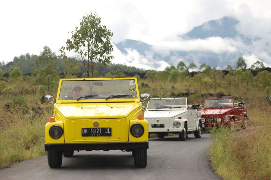 Ubud: Classic VW Safari to Waterfall, Swing & Rice Terraces - Exploring Ubud’s Natural Treasures