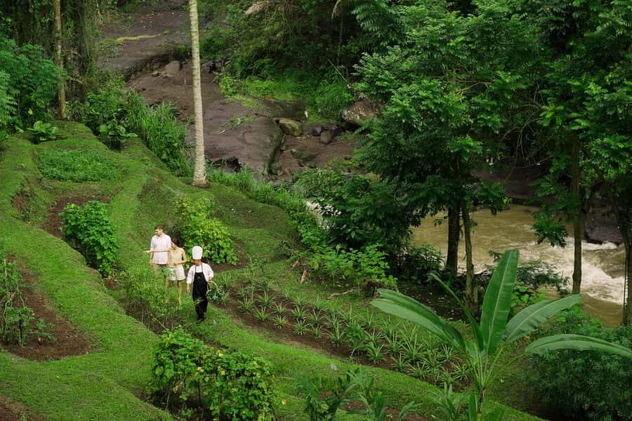 Ubud: Cooking Class & Herb Garden Tour with Local Chef - An In-Depth Look at the Experience
