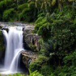 Ubud: Customized Ubud Tour With Private Car - What to Expect from the Itinerary