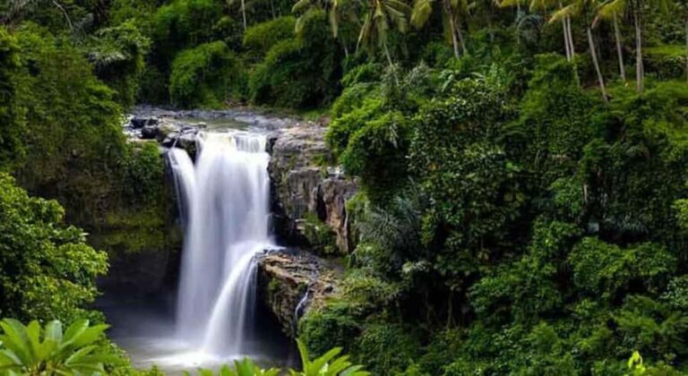 Ubud: Customized Ubud Tour With Private Car - What to Expect from the Itinerary