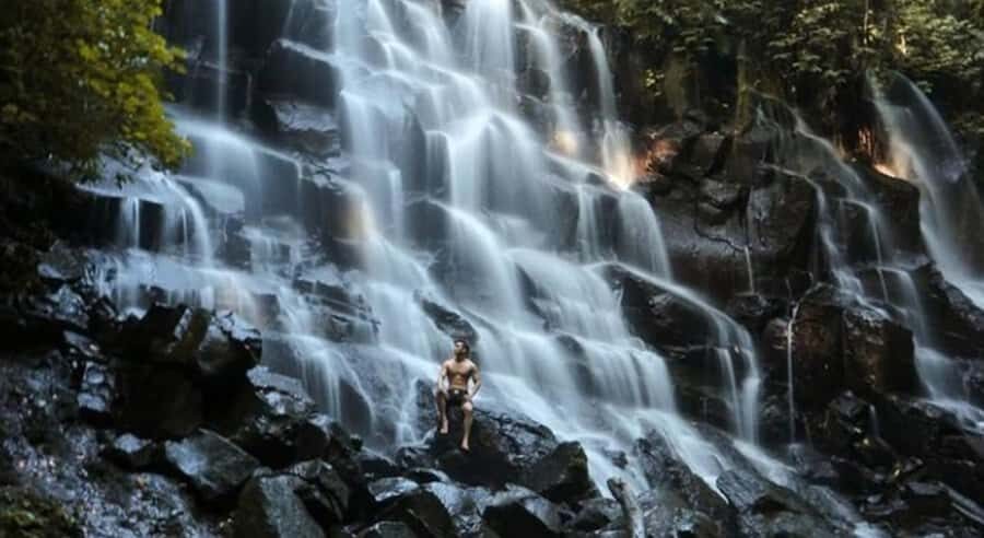 Ubud: Customized Ubud Tour With Private Car - A Deep Dive into the Ubud Private Tour Experience