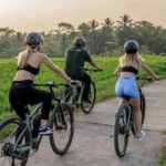 Ubud: Cycling Tour Local Villages, Temple, and Rice Field - Whats Included and Practical Details