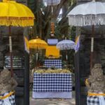 Ubud Day Tour  Japanese Guide Included - The Practical Side: Value, Duration, and Comfort