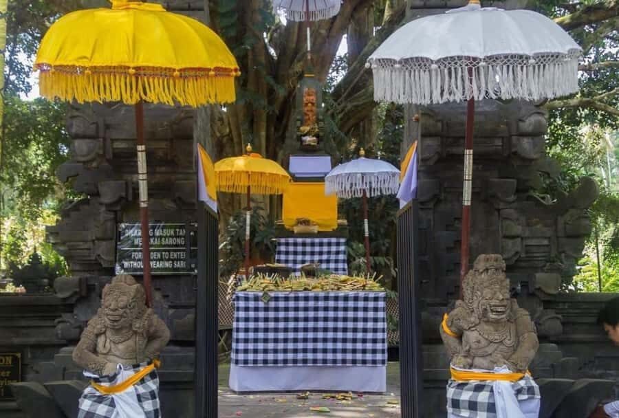 Ubud Day Tour  Japanese Guide Included - The Practical Side: Value, Duration, and Comfort