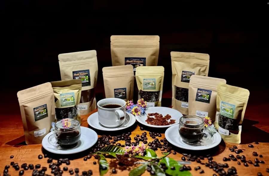 Ubud Day Tour  Japanese Guide Included - Why this Tour Works for You