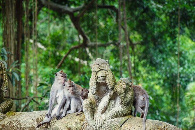Ubud Day Tour: Sacred Monkey Forest, Rice Terraces and Waterfall - Practical Details and What to Expect