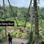 Ubud Day Trip Private Car Charter for a Full Bali Experience - Popular Stops and Highlights