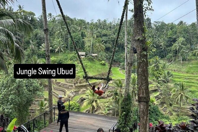 Ubud Day Trip Private Car Charter for a Full Bali Experience - Popular Stops and Highlights