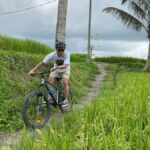 Ubud: Downhill Bike Tour with Rice Fields, Volcano and Meal - The Scenic Downhill Ride
