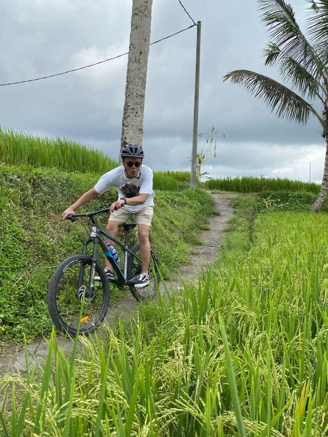 Ubud: Downhill Bike Tour with Rice Fields, Volcano and Meal - The Scenic Downhill Ride